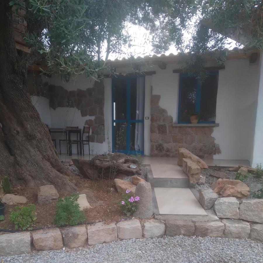 Sole In Ogliastra Bed & Breakfast Jerzu ภายนอก รูปภาพ